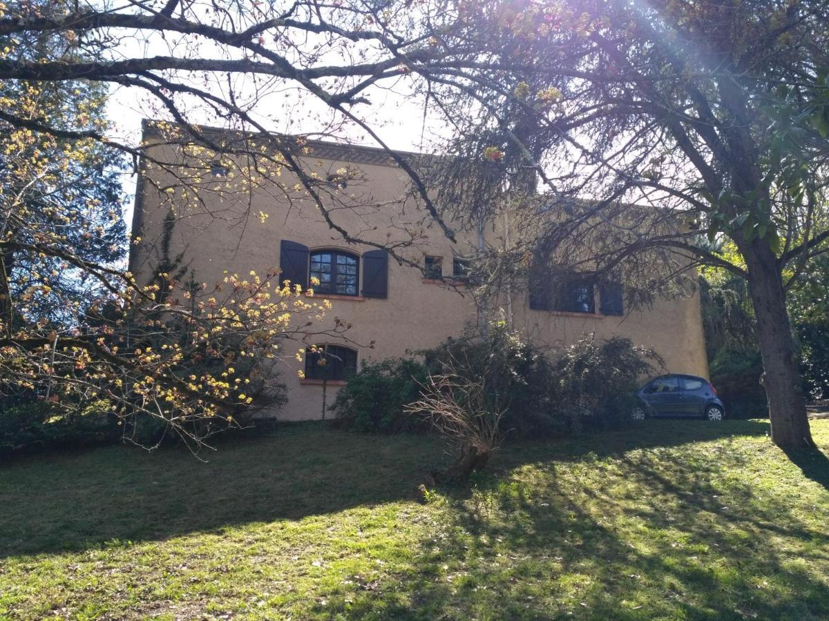Bienvenue ! Leilighet Moissac Eksteriør bilde
