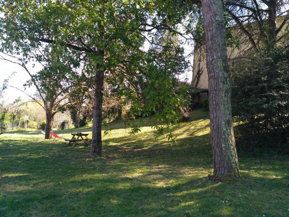 Bienvenue ! Leilighet Moissac Eksteriør bilde